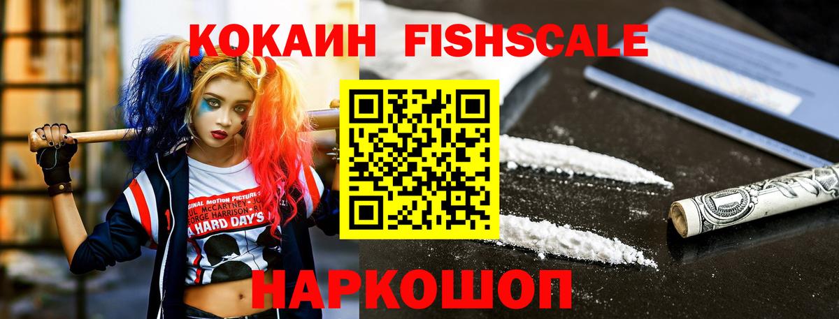 Междуреченск  где купить наркоту  Вход с VPN  COCAIN Fish Scale 