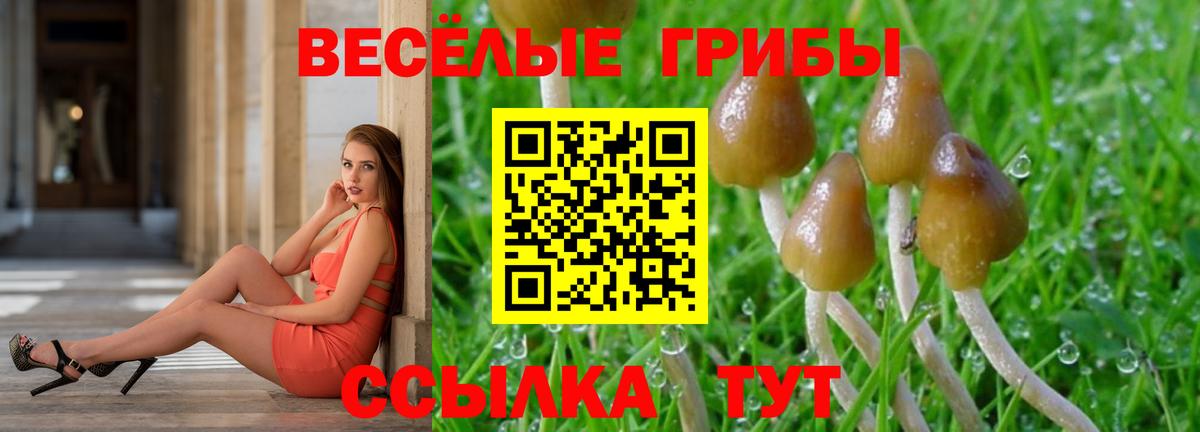 Псилоцибиновые грибы прущие грибы  Галлюциногенные грибы Magic Shrooms  Междуреченск  Вход с VPN 